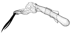 femina d.gif (7149 Byte)