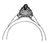 fuscivena c.gif (1510 Byte)