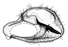 howardi b.gif (5040 Byte)