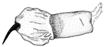 howardi d.GIF (5923 Byte)
