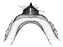 madagascariensis c.GIF (2206 Byte)