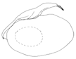 nigrivenosa a.GIF (2635 Byte)