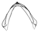 syntomina c.GIF (2498 Byte)