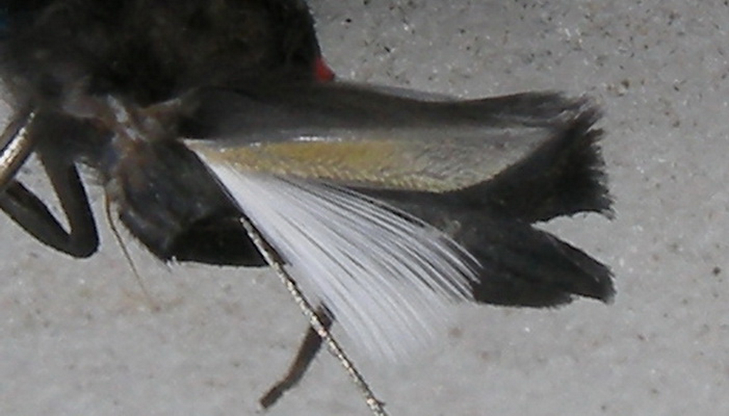 Impressionen04.jpg