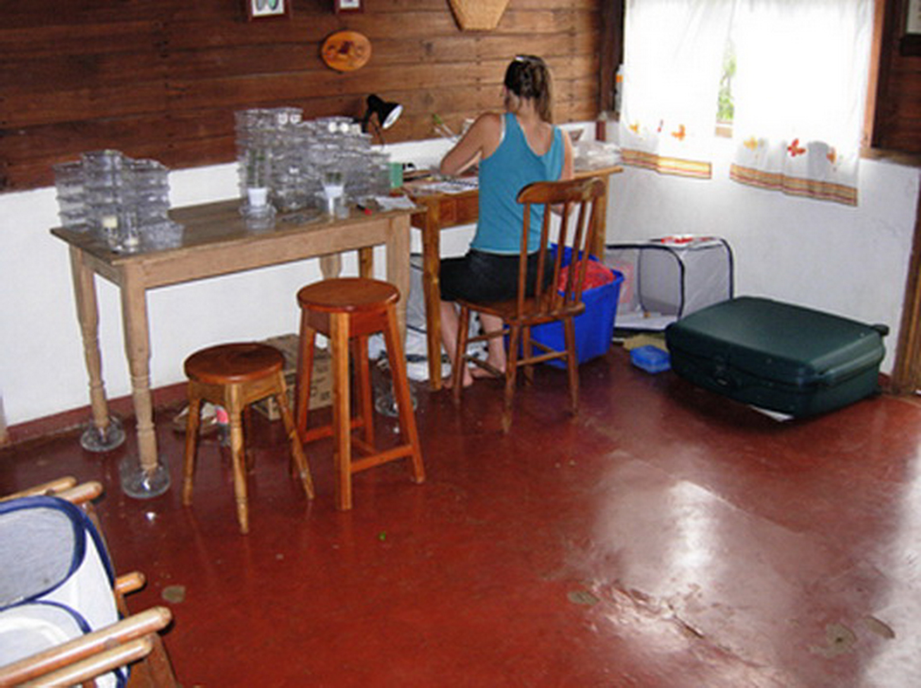 Impressionen22.jpg