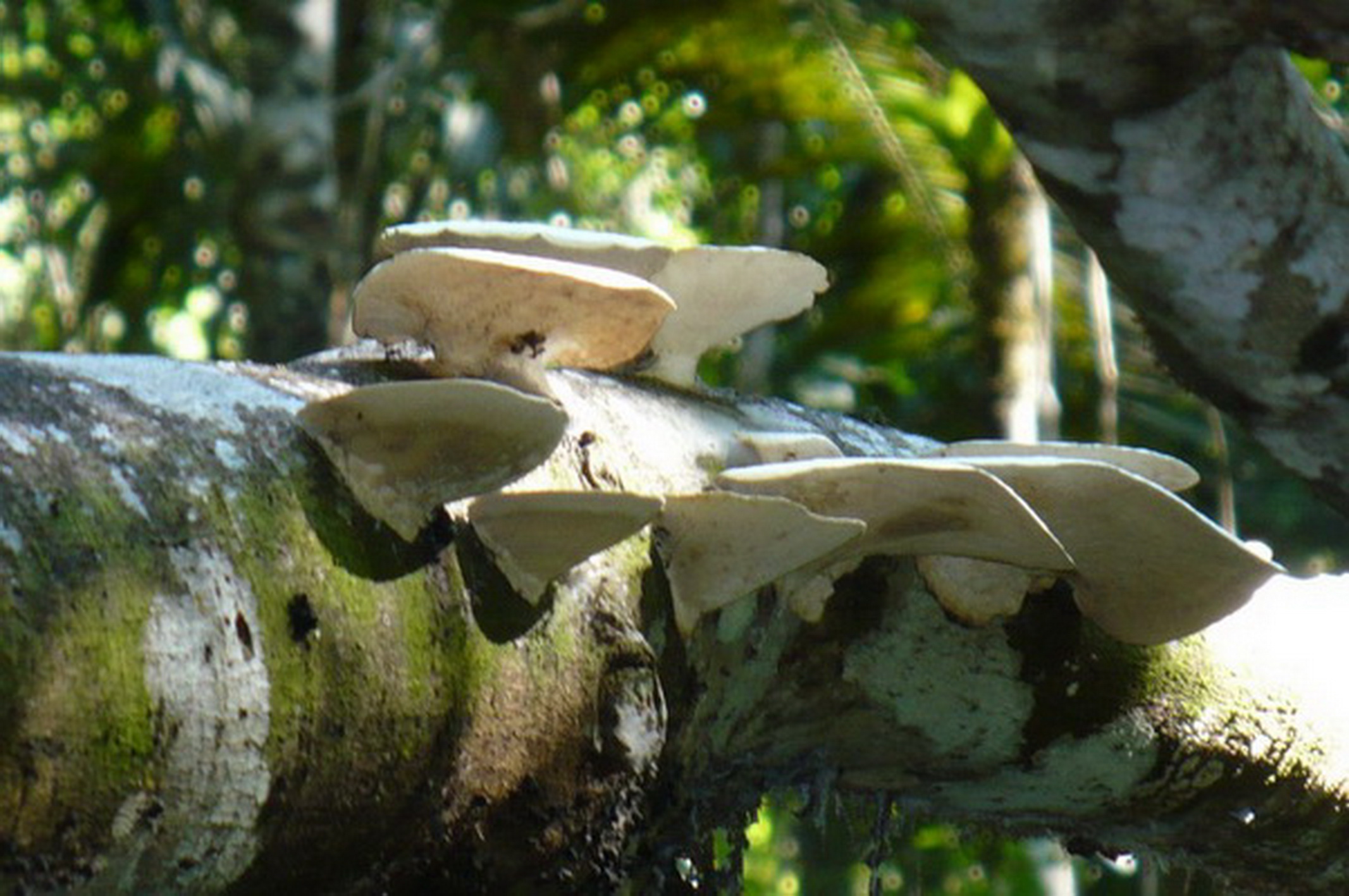 Impressionen28.jpg