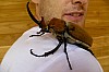 Impressionen50.jpg